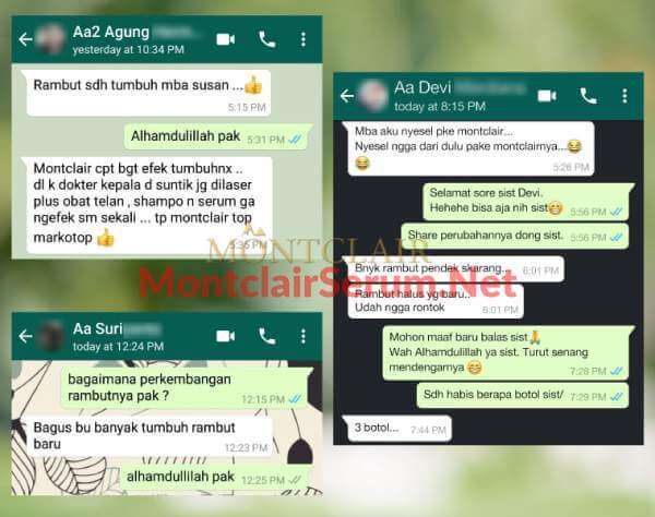 testi-WA4