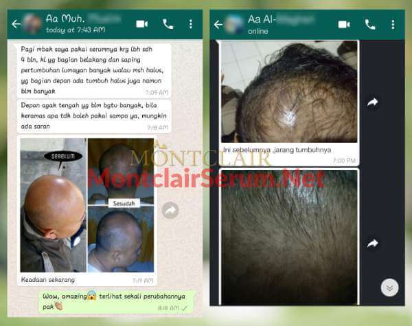 testi-WA5